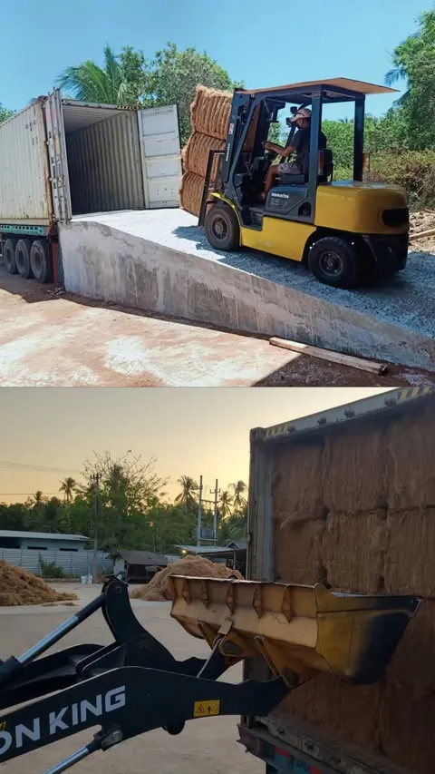 Forklift stuffing bales into an export container